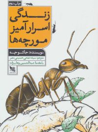 زندگی اسرار آمیز مورچه ها