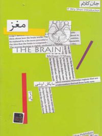 جان کلام 2 (مغز)
